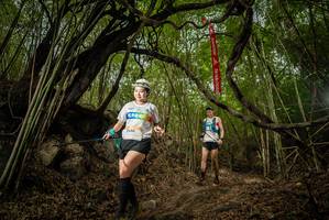 BIB: 
                            <button type="button" onclick="openModal(22178473)" class="btn btn-primary btn-sm float-right btn-popup" data-toggle="modal" data-target=".modal-high-quality">
                        <i class="fas fa-shopping-cart"></i> Add to Cart
                    </button>
                                            <button type="button" onclick="isThisMe(22178473, true)" class="btn btn-success btn-sm float-right btn-popup btn-isme hidden" data-toggle="tooltip" data-placement="bottom" title="นี่คือรูปของคุณใช่ไหม คลิกที่นี่เพื่อเอาเข้าอัลบั้ม">
                        <i class="fas fa-plus"></i> Add to album
                    </button>
                    <button type="button" onclick="isThisMe(22178473, false)" class="btn btn-warning btn-sm float-right btn-popup btn-isnotme hidden">
                        <i class="fas fa-ban"></i> Remove from album
                    </button>